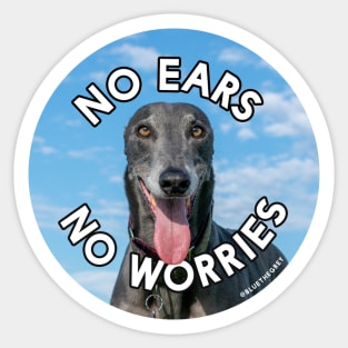 No Ears No Worries Sticker